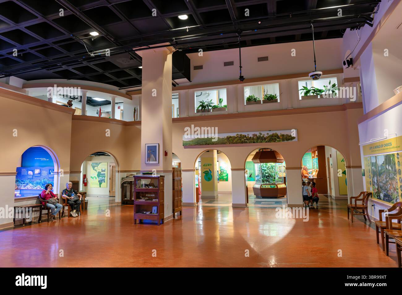 WASHINGTON DC – das Innere des älteren Gebäudes, das das Amazonasgebiet im Smithsonian National Zoological Park beherbergt, zeigt Ausstellungen, die tropischen Ökosystemen und der Artenvielfalt gewidmet sind. Die Anlage umfasst Ausstellungen zu Amphibien und Korallenriffsystemen, die einige der am stärksten bedrohten aquatischen Umgebungen der Welt darstellen. Dieses Gebäude stammt aus der Zeit vor dem neueren Amazonaskomplex und dient als Teil der laufenden Bemühungen des Zoos, verschiedene tropische Lebensräume in kontrollierten Innenräumen zu präsentieren. Die Struktur fungiert sowohl als Bildungszentrum als auch als Naturschutzeinrichtung, Supporti Stockfoto