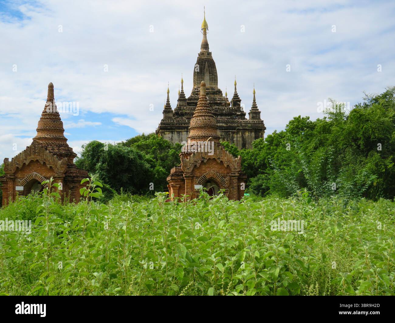 Alte buddhistische Tempel hinter langem Gras in Bagan Stockfoto