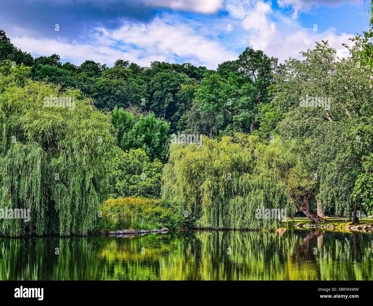 Ruhiger See mit üppigen Weidenbäumen. Hochauflösende Hintergrundbilder für Telefone, Tablets, Laptops, Fernseher. Ideal für Social Media, Marketing, Webdesign Stockfoto