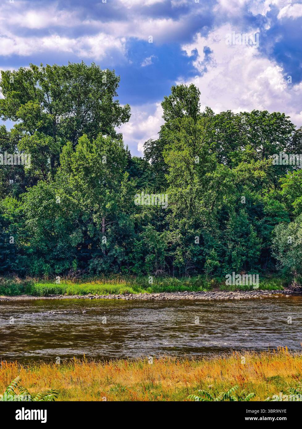 Ruhige Flussszene mit üppigen grünen Bäumen und dramatischen Wolken – abstrakter Hintergrund in hoher Auflösung für Hintergrundbilder, soziale Medien und digitale Werbeaktionen Stockfoto