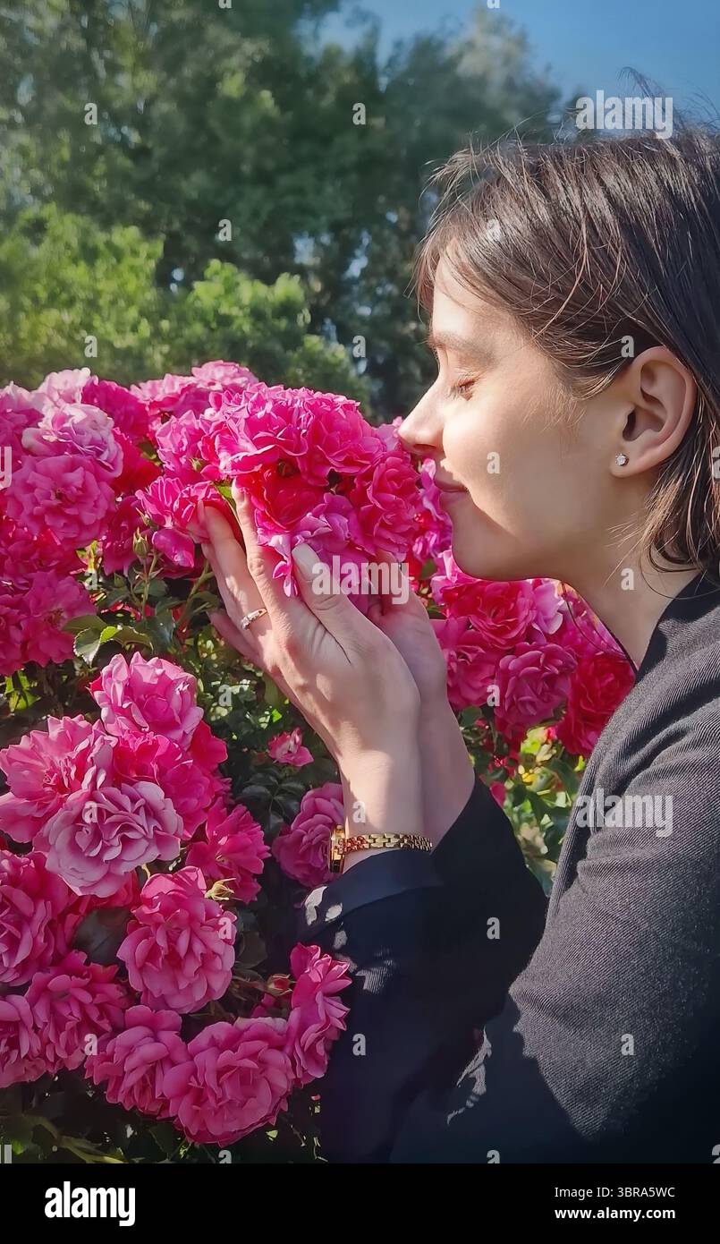 Die hübsche junge Frau genießt die Anwesenheit im Rosengarten und genießt es, eine große Gruppe von leuchtendem rosa Rosen zu riechen und den Duft mit geschlossenem zu genießen Stockfoto