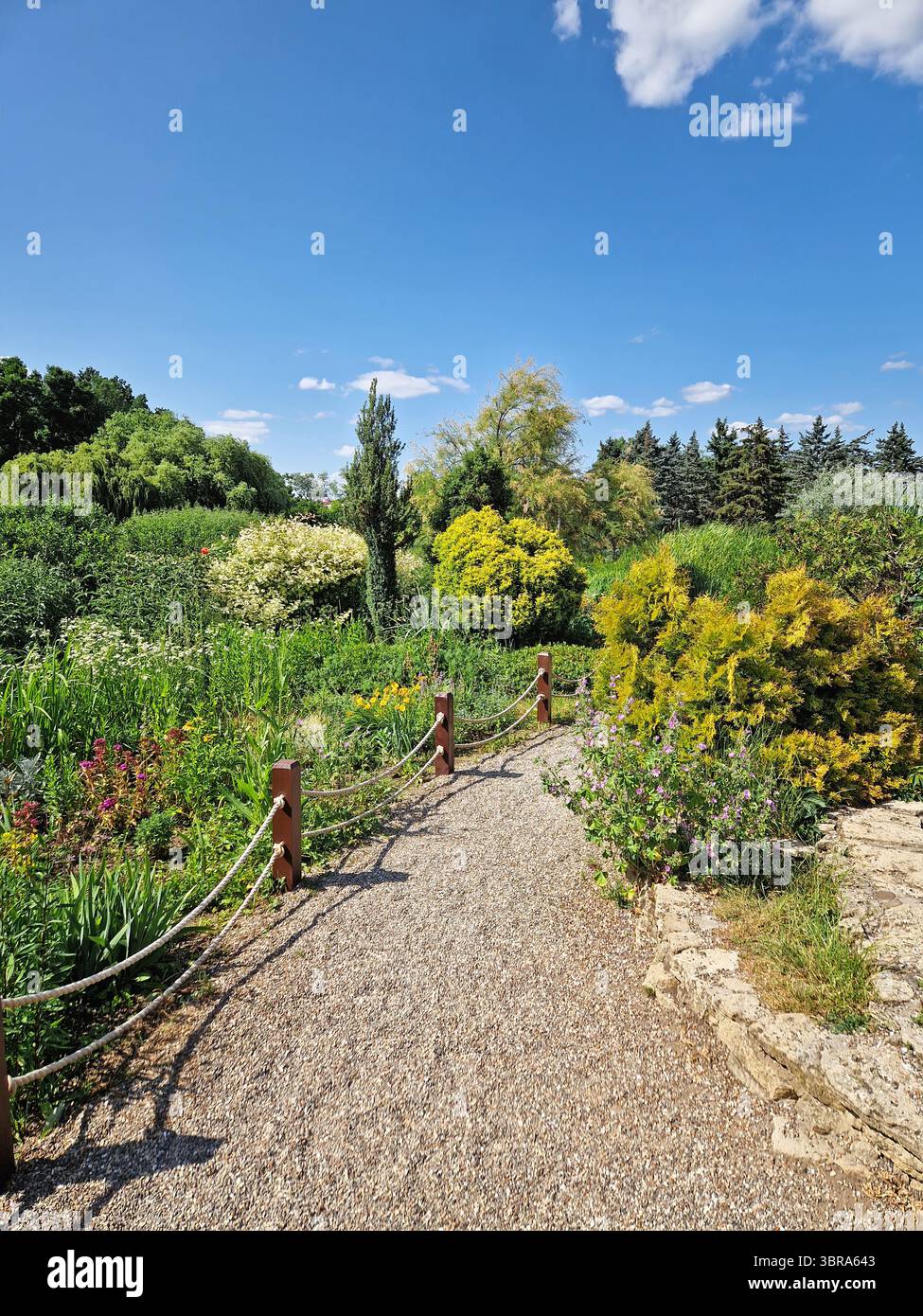 Gewundener Steinweg durch einen lebendigen Garten mit grünen Pflanzen und bunten Blumen auf beiden Seiten, unter einem hellblauen Himmel mit flauschigen weißen Wolken. A Stockfoto