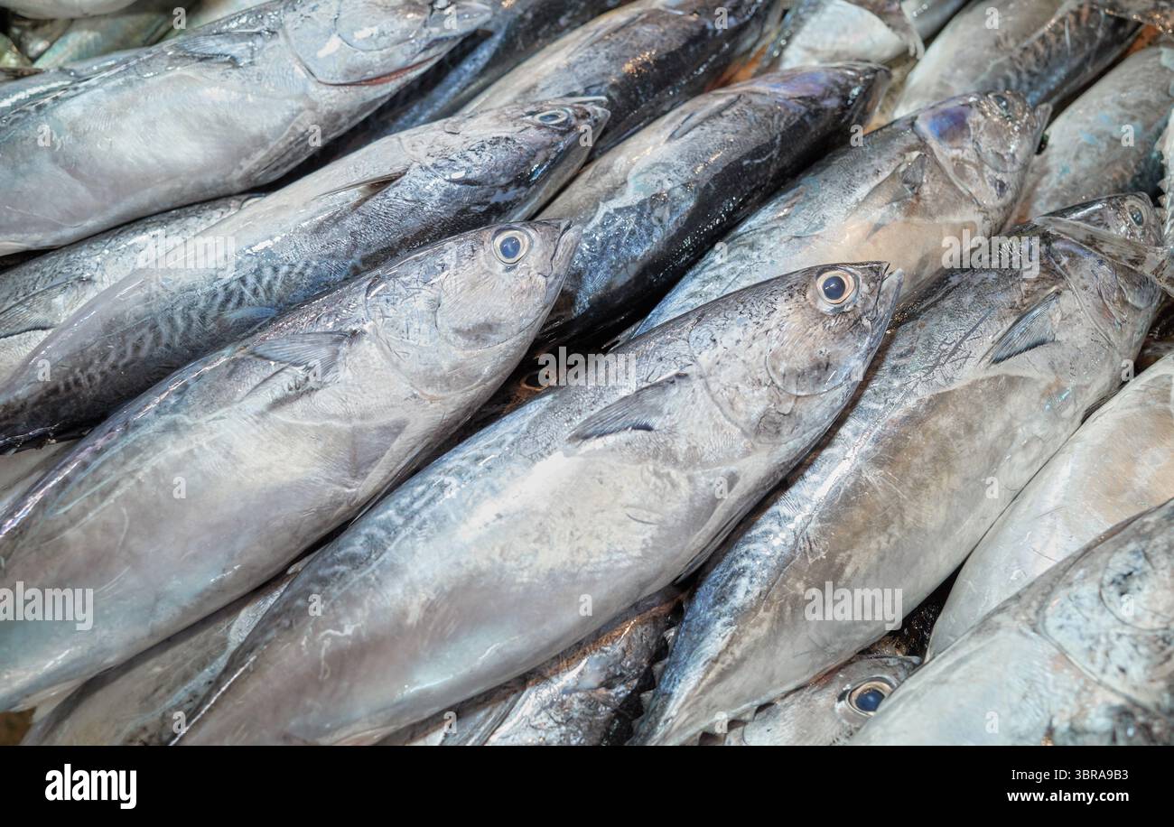 Frisch gefangener Meeresfisch auf einem Markt in Borneo, Malaysia. Stockfoto