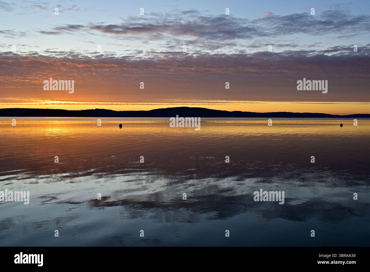 Wunderschönes Morgenlicht kurz vor Sonnenaufgang auf der Straße von Georgia und Vancouver Island British Columbia Kanada Stockfoto
