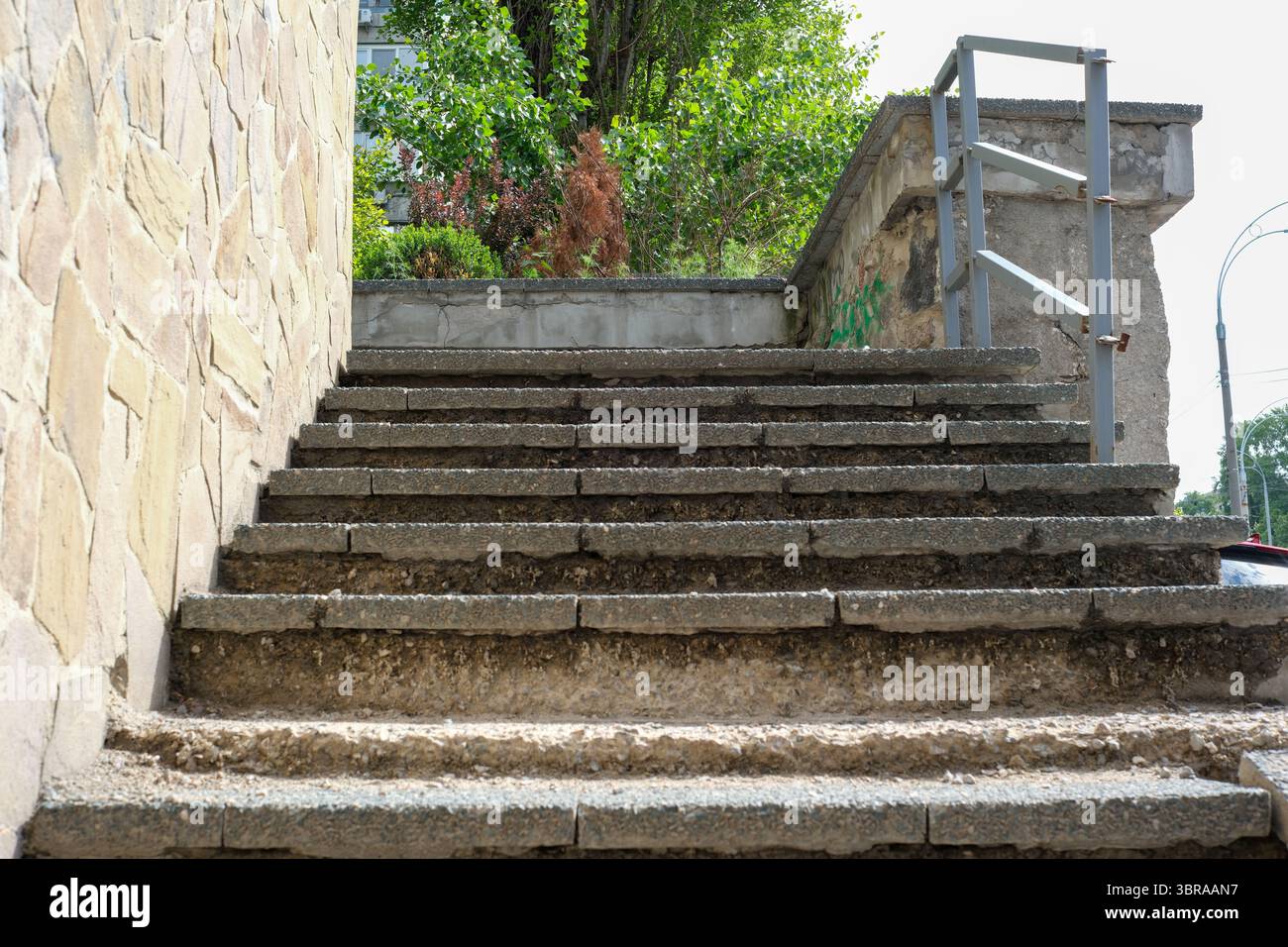 Betonstufen steigen hinauf zu lebhaftem Grün und einer ruhigen Atmosphäre. Stockfoto