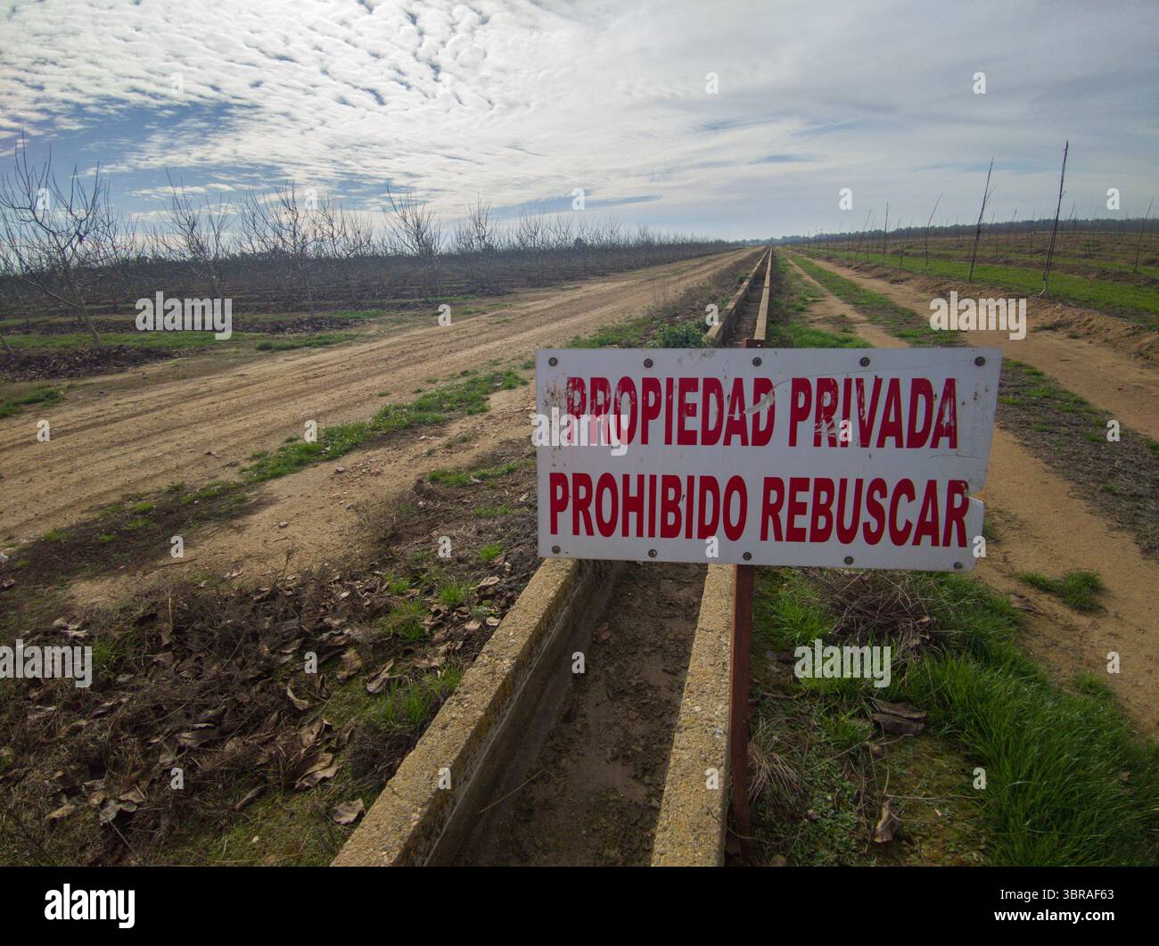 GLean Banned Schild Post. Der Grundbesitzer erlaubte den Dorfbewohnern nicht, in seinen Feldern zu essen, sobald die Ernte beendet war Stockfoto