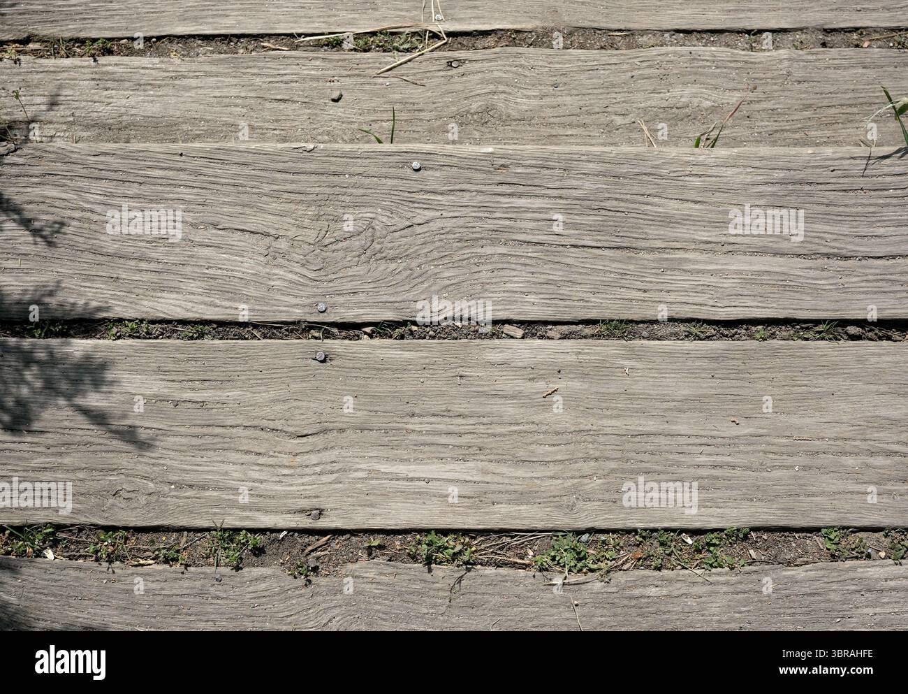 Holzdielen mit rustikalem Finish bilden einen ruhigen Weg, der von Gras umgeben ist. Stockfoto