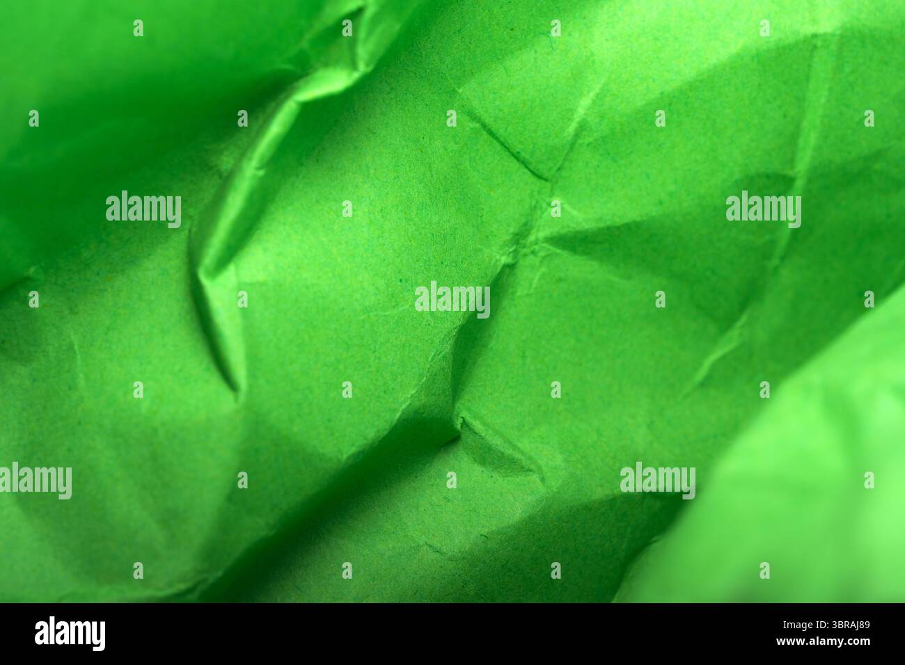Die leuchtend grüne Textur fängt Licht wunderbar ein und verleiht Tiefe und Intrige. Stockfoto
