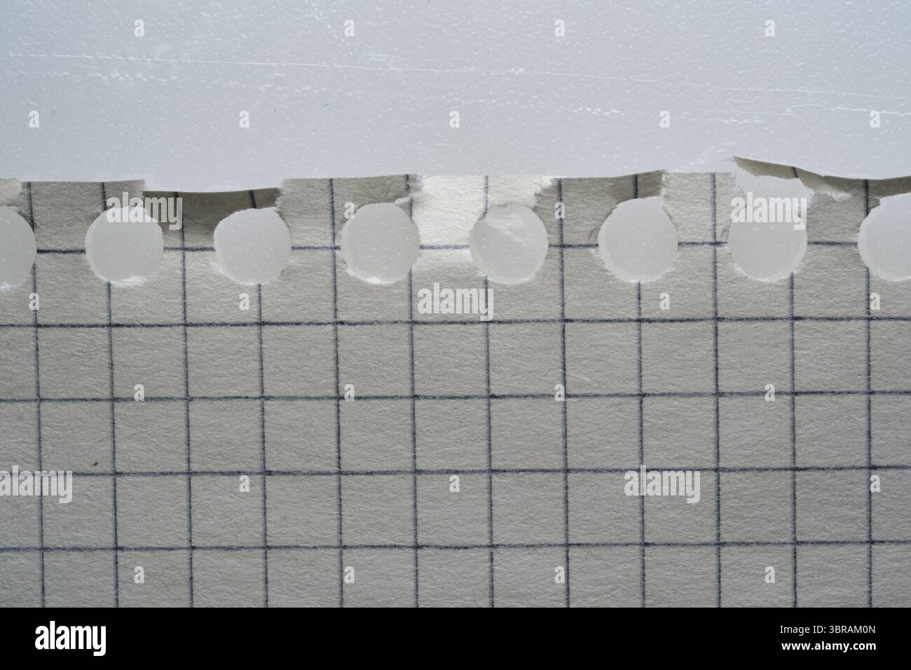 Abgerissene Kanten zeigen ein Rastermuster auf Graphpapier, das Kreativität zum Ausdruck bringt. Stockfoto
