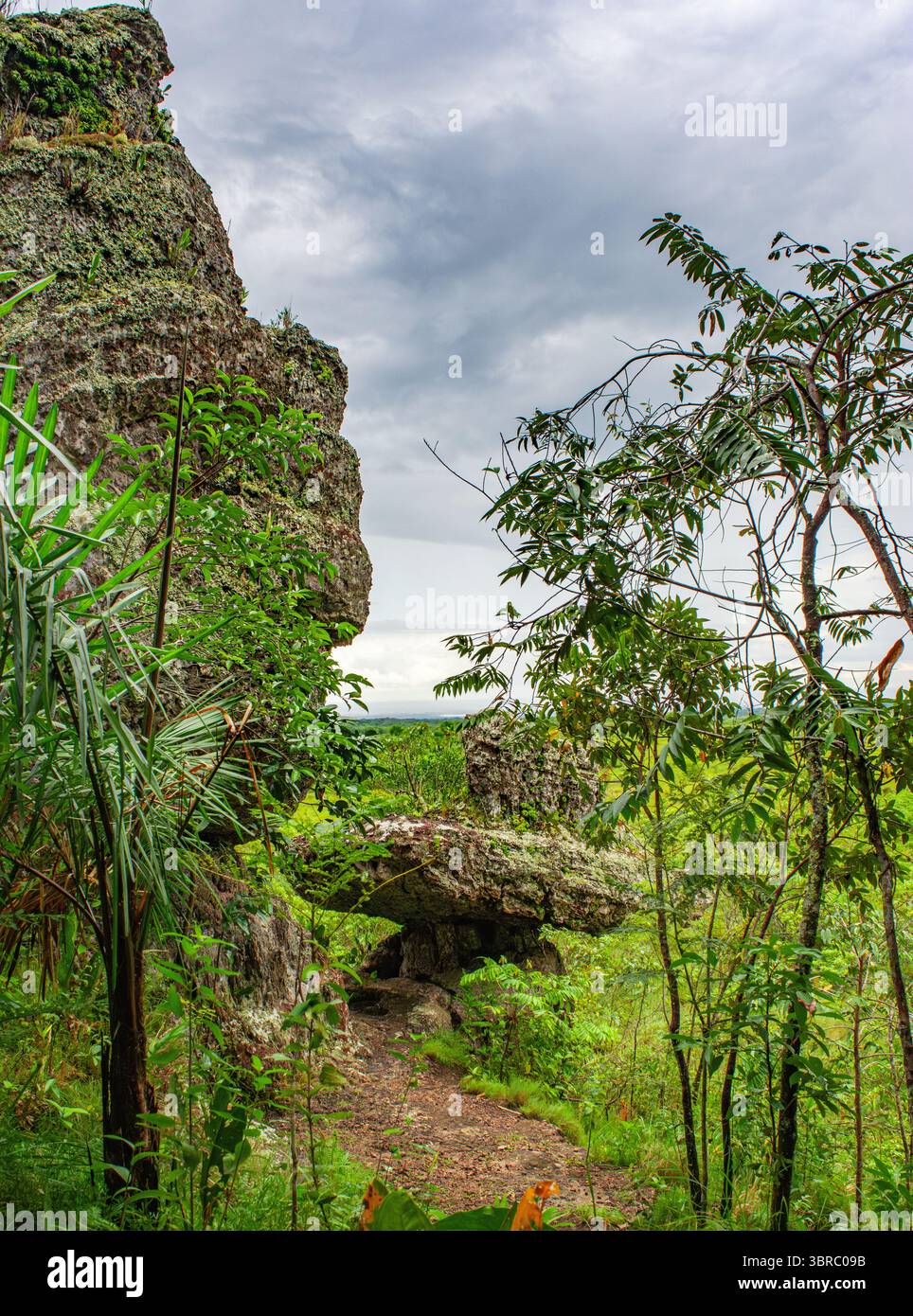 Ein atemberaubender Blick auf eine Felsformation umgeben von üppigem Grün in Guaviare, Kolumbien. Ideal für Naturliebhaber und Abenteuerlustige. Stockfoto