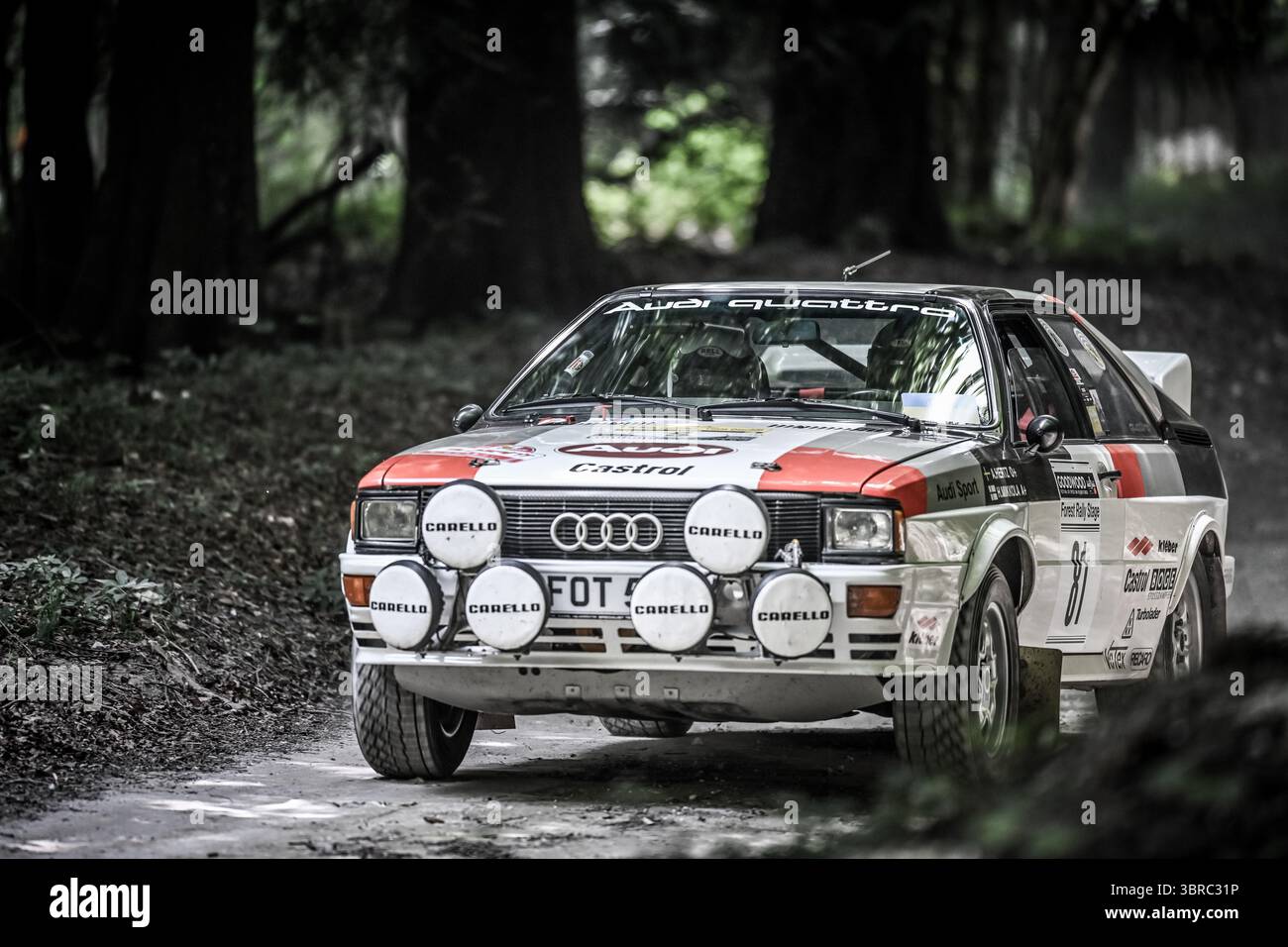 Goodwood Festival of Speed 2025 Forest Rallye Stage Goodwood, England 10/07/2025 Stockfoto