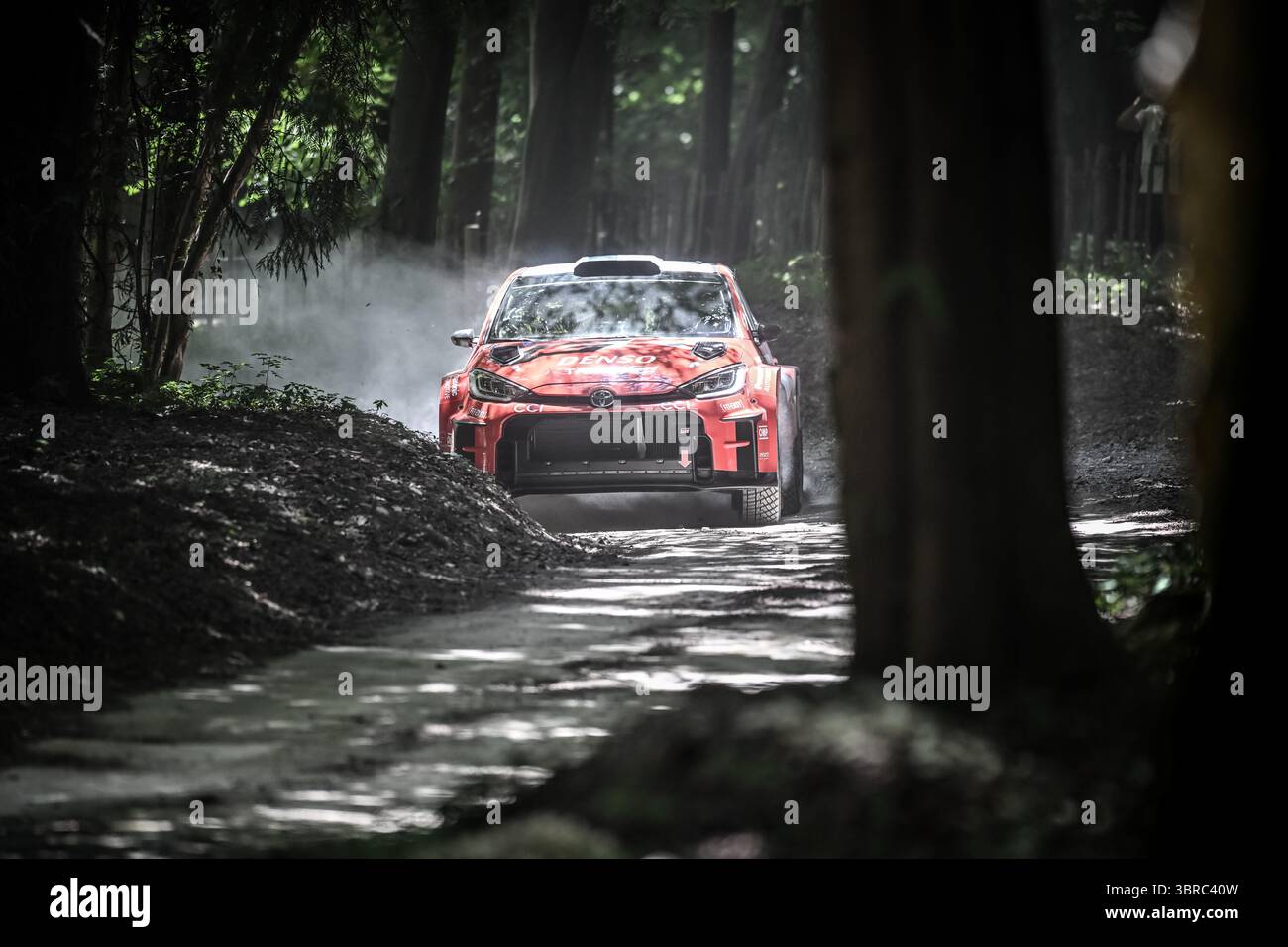 Goodwood Festival of Speed 2025 Forest Rallye Stage Goodwood, England 10/07/2025 Stockfoto