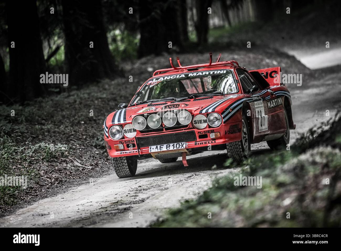 Goodwood Festival of Speed 2025 Forest Rallye Stage Goodwood, England 10/07/2025 Stockfoto