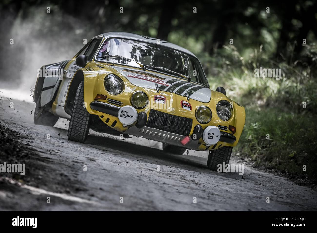 Goodwood Festival of Speed 2025 Forest Rallye Stage Goodwood, England 10/07/2025 Stockfoto