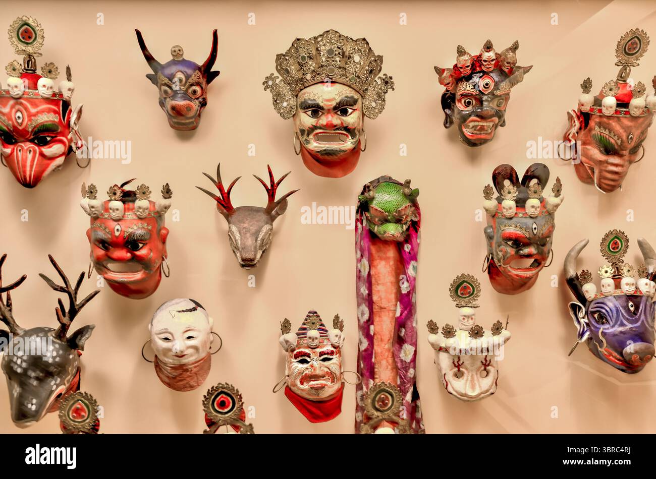 New York, New York - 17. Februar 2022: Ausstellungen im Natural History Museum in New York Stockfoto