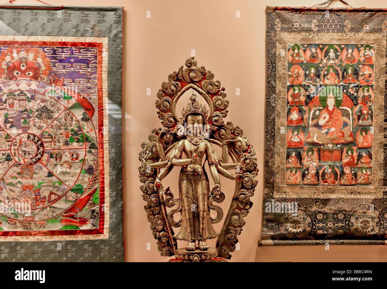 New York, New York - 17. Februar 2022: Ausstellungen im Natural History Museum in New York Stockfoto