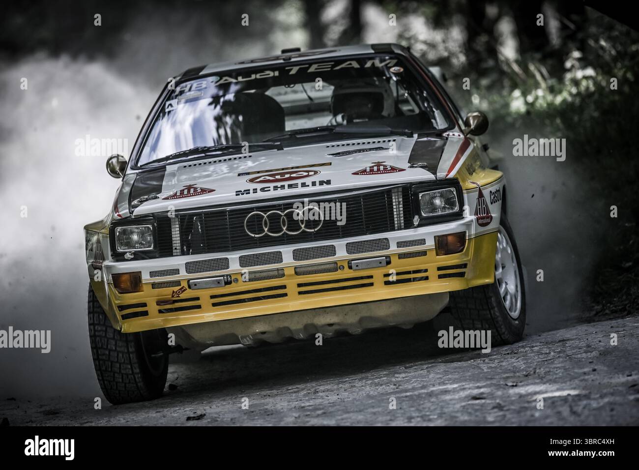 Goodwood Festival of Speed 2025 Forest Rallye Stage Goodwood, England 10/07/2025 Stockfoto