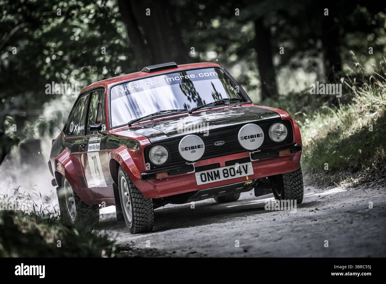 Goodwood Festival of Speed 2025 Forest Rallye Stage Goodwood, England 10/07/2025 Stockfoto