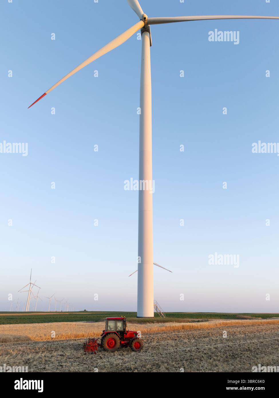 Der landwirtschaftliche Traktor arbeitet auf dem Feld mit Windturbinen. Luftaufnahme. Stockfoto