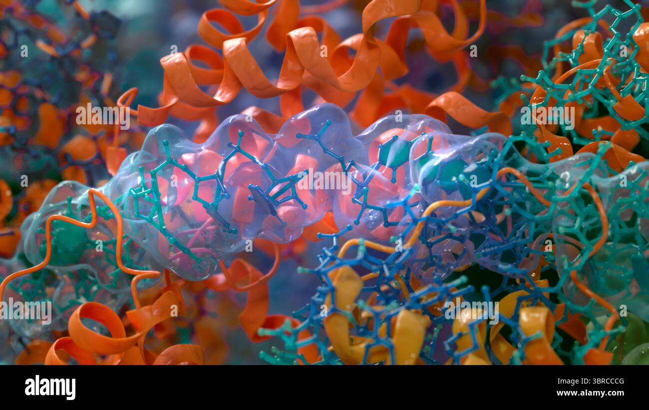 Molekularbiologie, konzeptuelle Illustration. Stockfoto