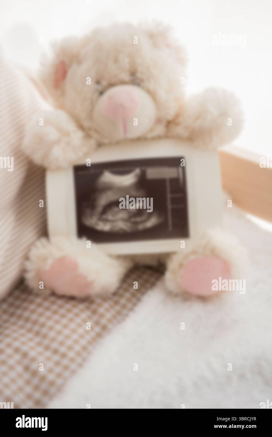 Hochwinkelansicht des Teddybären mit Ultraschall Stockfoto