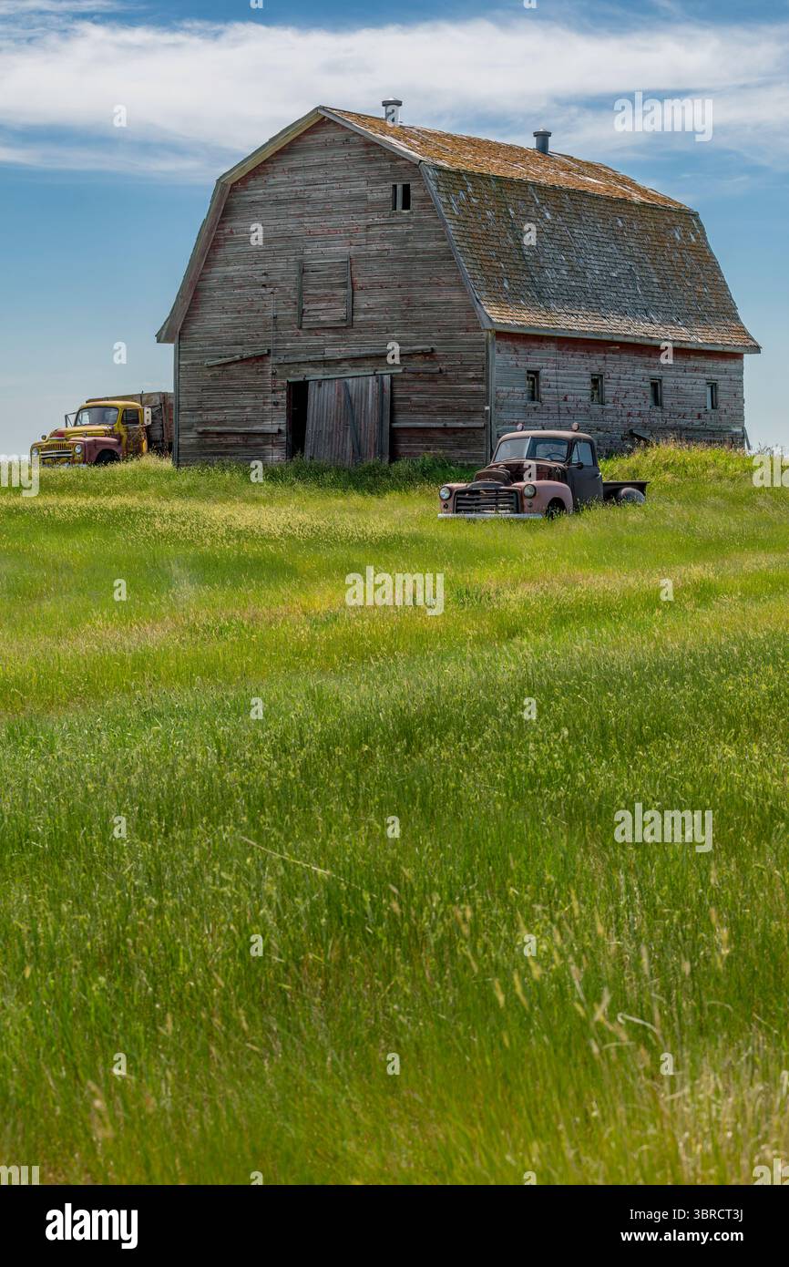 Eine verlassene Scheune mit einer alten halben Tonne auf der einen Seite und einem alten Getreidewagen auf der anderen Stockfoto
