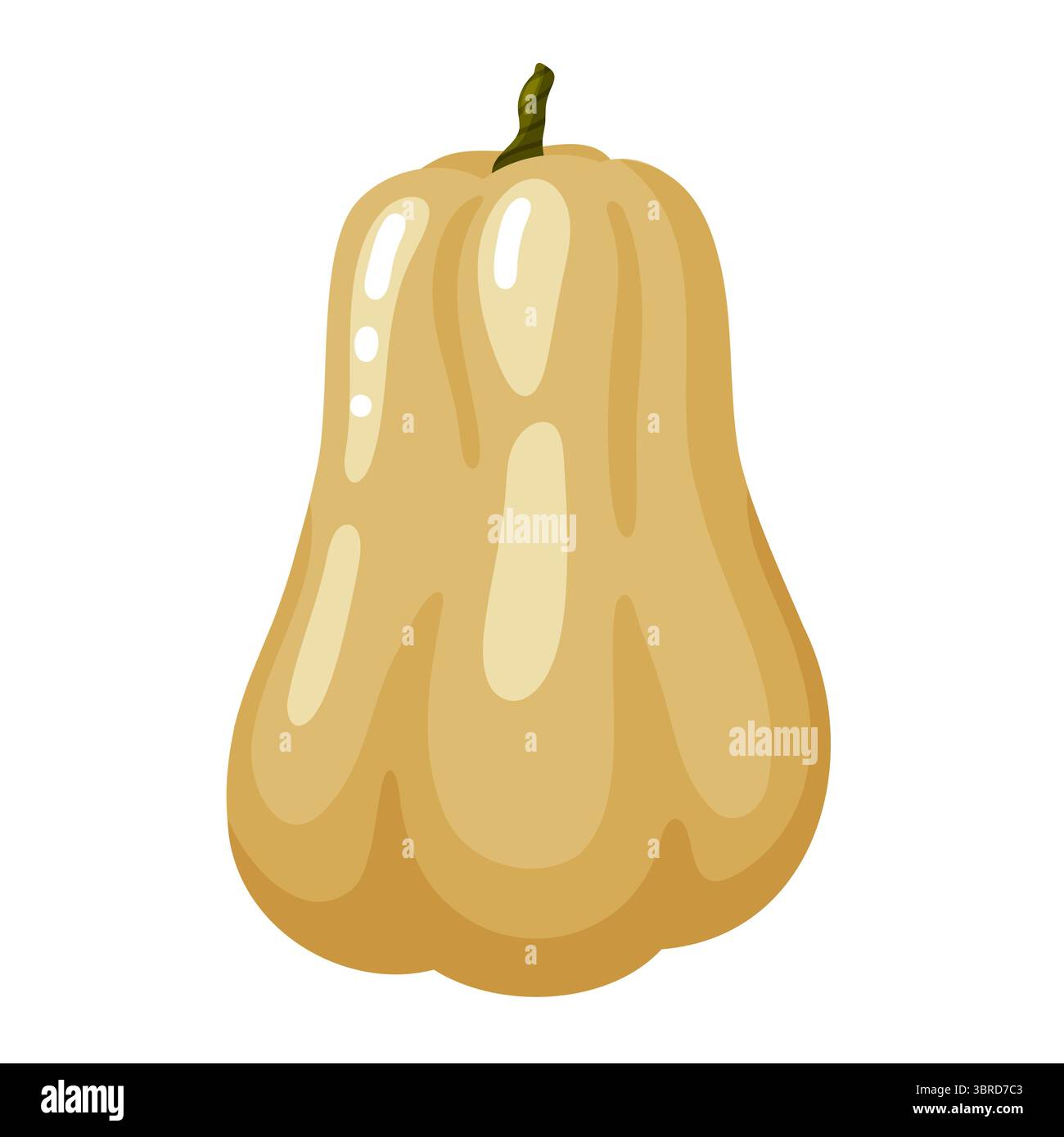 Eine herrliche handgezeichnete Doodle-Illustration eines hellen Butternusskürbis mit seiner charakteristischen langen, birnenartigen Form. Dieses charmante d Stock Vektor