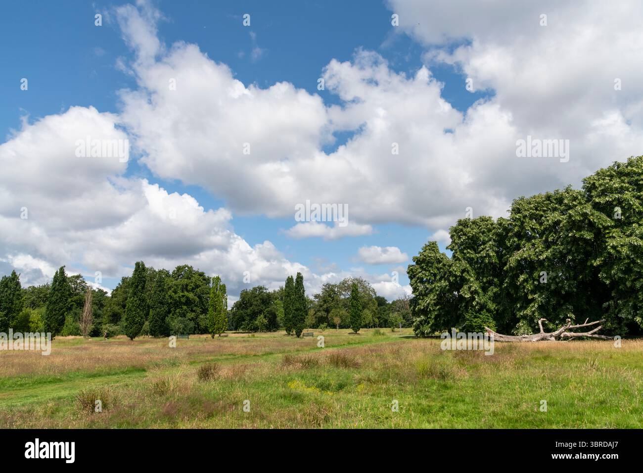 Ein wunderschöner Sommertag im Woodbank Park in Stockport, Greater Manchester, England. Stockfoto