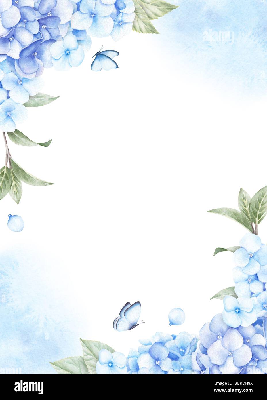 Grußkartenschablone mit Hortensie-Blüten, Blättern, Schmetterlingen und blauen Flecken. Handgezeichnete Aquarellillustration isoliert auf weißem Hintergrund. Stockfoto