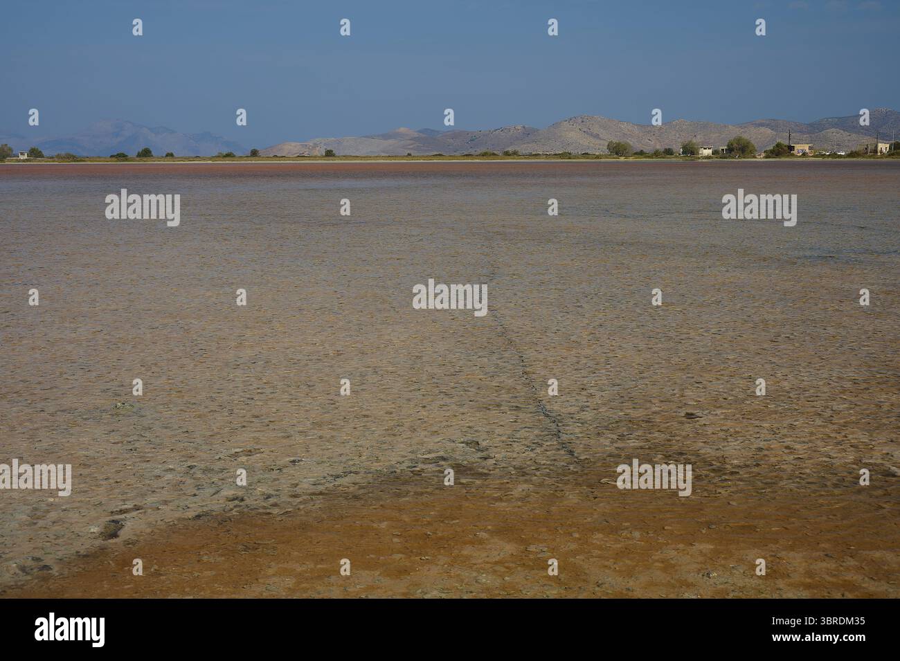 Trockene Landschaft mit weitem Horizont und fernen Bergen, Salzsee, Tigaki, Naturschutzgebiet, Hydrobiotope, Kos, Dodekanesisch, Griechische Inseln, Griechenland Stockfoto