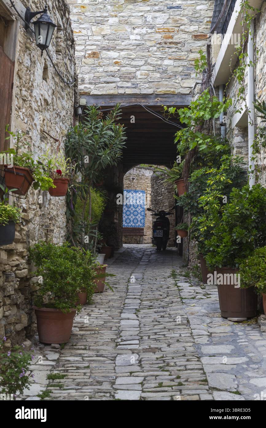 Blick auf eine enge Kopfsteinpflasterstraße gesäumt von Topfpflanzen, die zu einer bogenförmigen Öffnung führt, die einen Blick auf blaue Fensterläden freigibt, Pano Lefkara, Larnaca, Zypern. Stockfoto