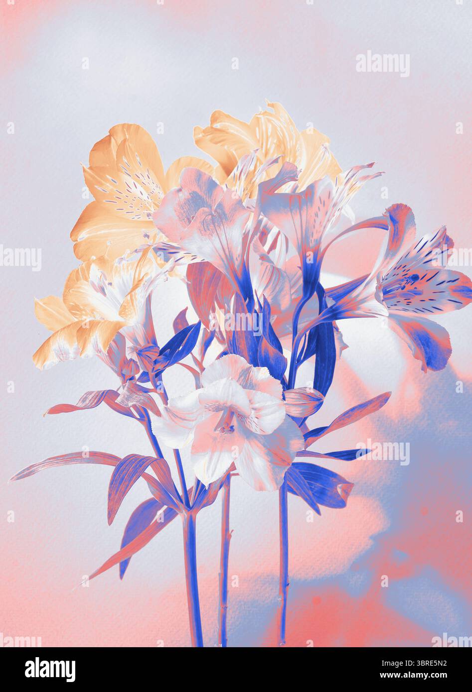 Surreales Blumenstrauß in sanften Pastelltönen mit digitaler Farbbearbeitung auf unscharfem Hintergrund. Künstlerisches Blumenbild mit einer traumhaften, ätherischen Stimmung. Stockfoto