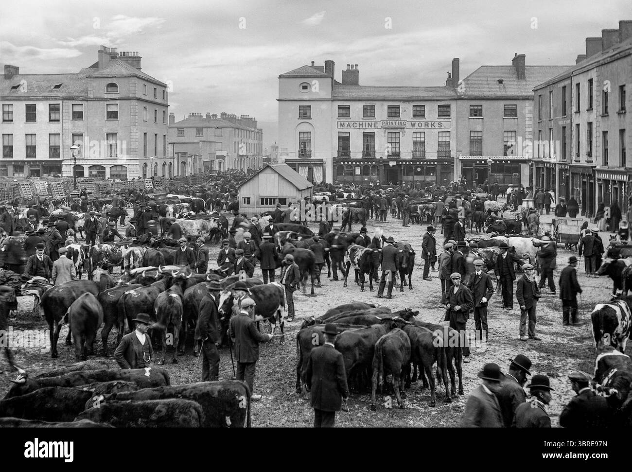 Ein Foto aus dem späten 19. Jahrhundert von einem traditionellen Viehmarkt auf dem Grattan Square, dem Hauptplatz von Dungarvan, einer Küstenstadt und einem Hafen im County Waterford an der Südostküste Irlands. Stockfoto