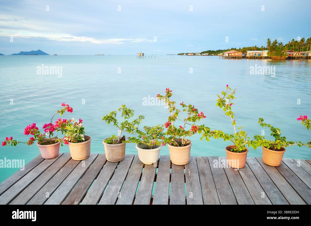 Pflanzen in Töpfen auf einem Pier, Semporna District, Borneo, Malaysia. Stockfoto Pflanzen in Töpfen auf einem Pier, Semporna District, Borneo, Malaysia. Stockfoto