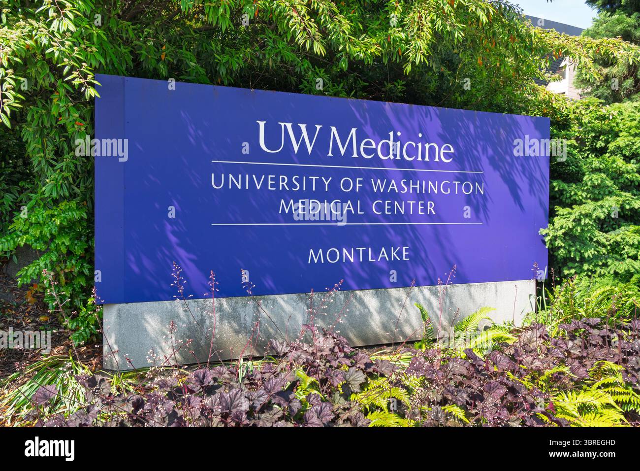 SEATTLE, WA, USA, 25. MAI 2025: University of Washington Medical Center – Montlake auf dem Campus der University of Washington. Stockfoto