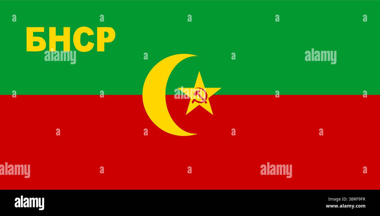 Flagge der Bucharan-Volksrepublik – rotes Banner mit gelber arabischer Schrift, historische sowjetische Zentralasiatische Flagge (1920–1924) kommunistisches Symbol Stock Vektor