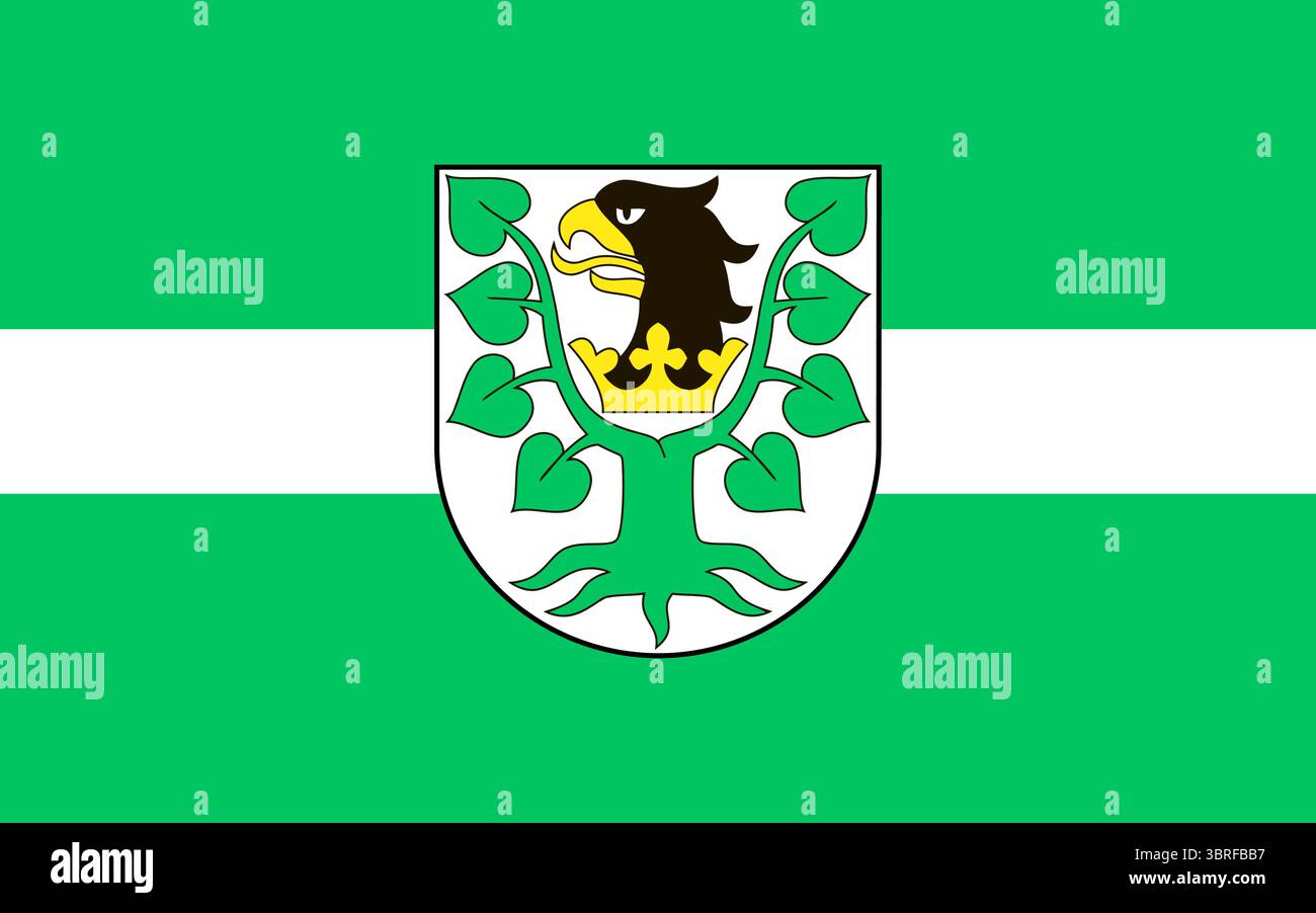 Flagge des Bezirks Oletski (Raion Oleshky), Oblast Cherson, Ukraine — horizontale Streifen blau, gelb, grün, weiß, gelb mit Bezirkswappen, Stock Vektor