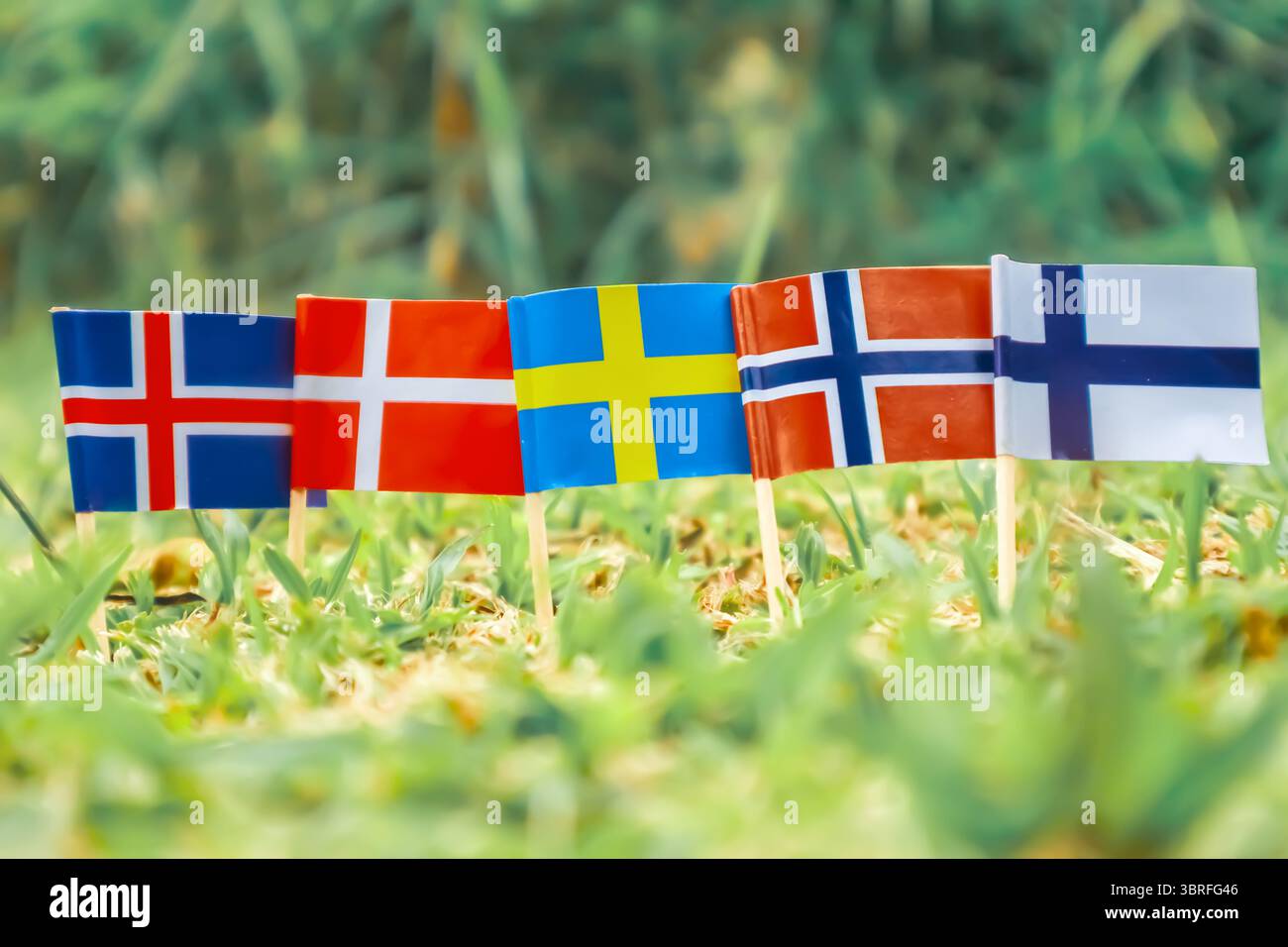 Nordische Fahnen unter Sonnenlicht auf Gras: Island, Dänemark, Schweden, Norwegen, Finnland. Umweltfreundliches Konzept, Welttag und Klimawandel. Stockfoto