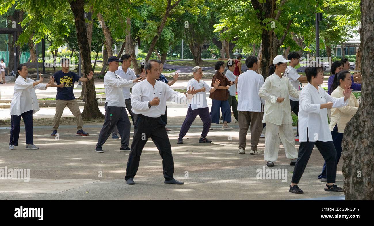 Thai Chi im Lumphini Park Stockfoto