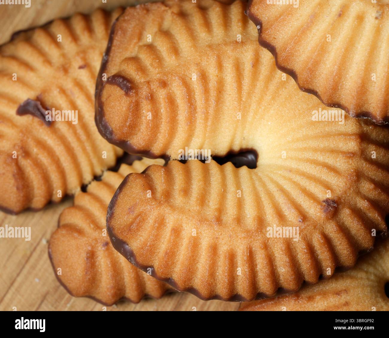 Goldbraune Kekse mit Schokoladennebel warten auf einen süßen Genuss. Stockfoto