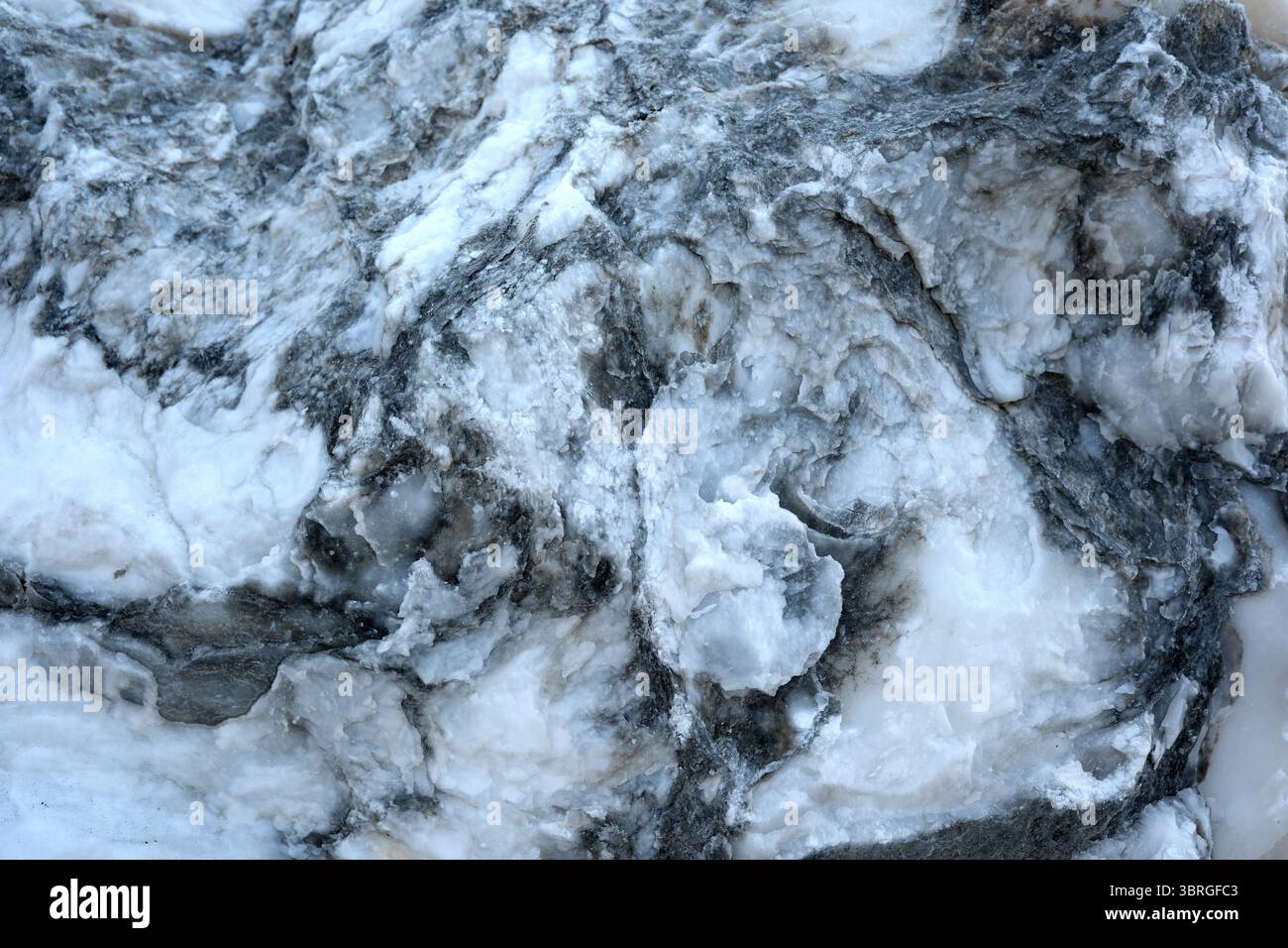 Dieser atemberaubende Stein zeigt komplizierte Muster und atemberaubende Grautöne. Stockfoto