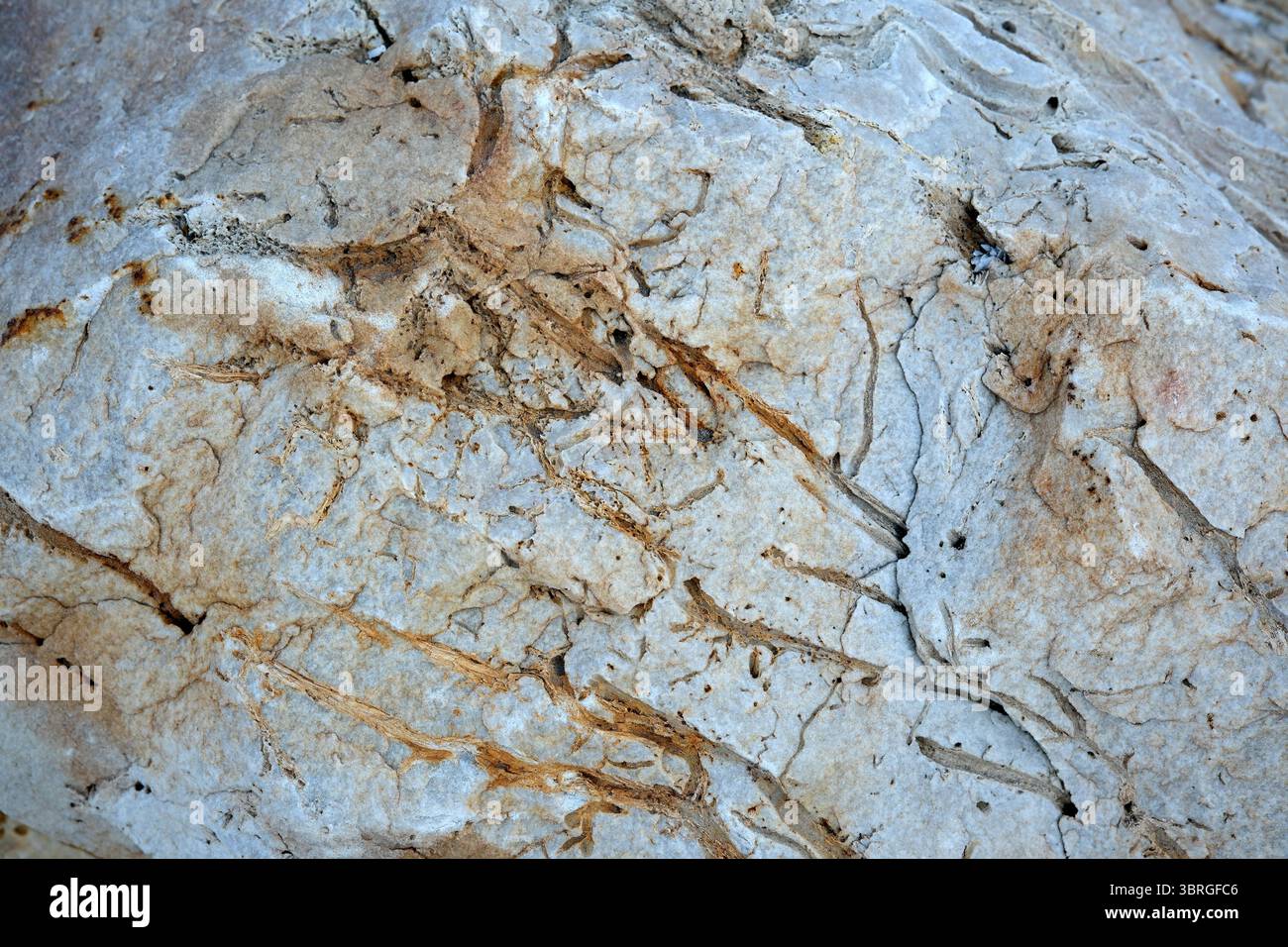 Komplexe Details einer felsigen Oberfläche zeigen organische Texturen und Töne. Stockfoto