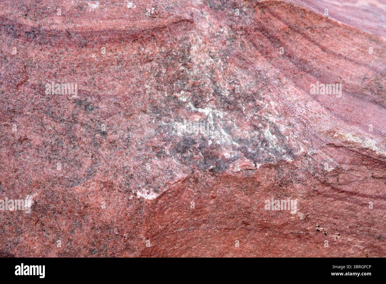 Nahaufnahme einer lebendigen Felsoberfläche mit natürlichen Mustern und Farben. Stockfoto