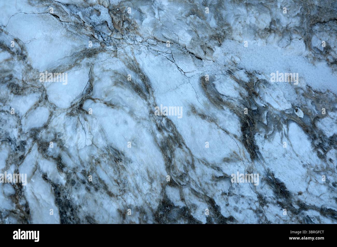 Ein faszinierendes Muster aus weiß- und Grautönen zeigt die Kunstfertigkeit der Natur. Stockfoto