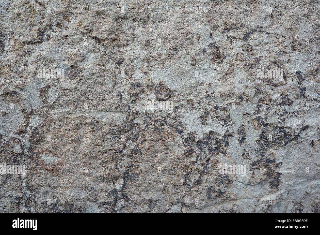 Komplizierte Muster entstehen aus einer verwitterten Steinmauer unter natürlichem Licht. Stockfoto