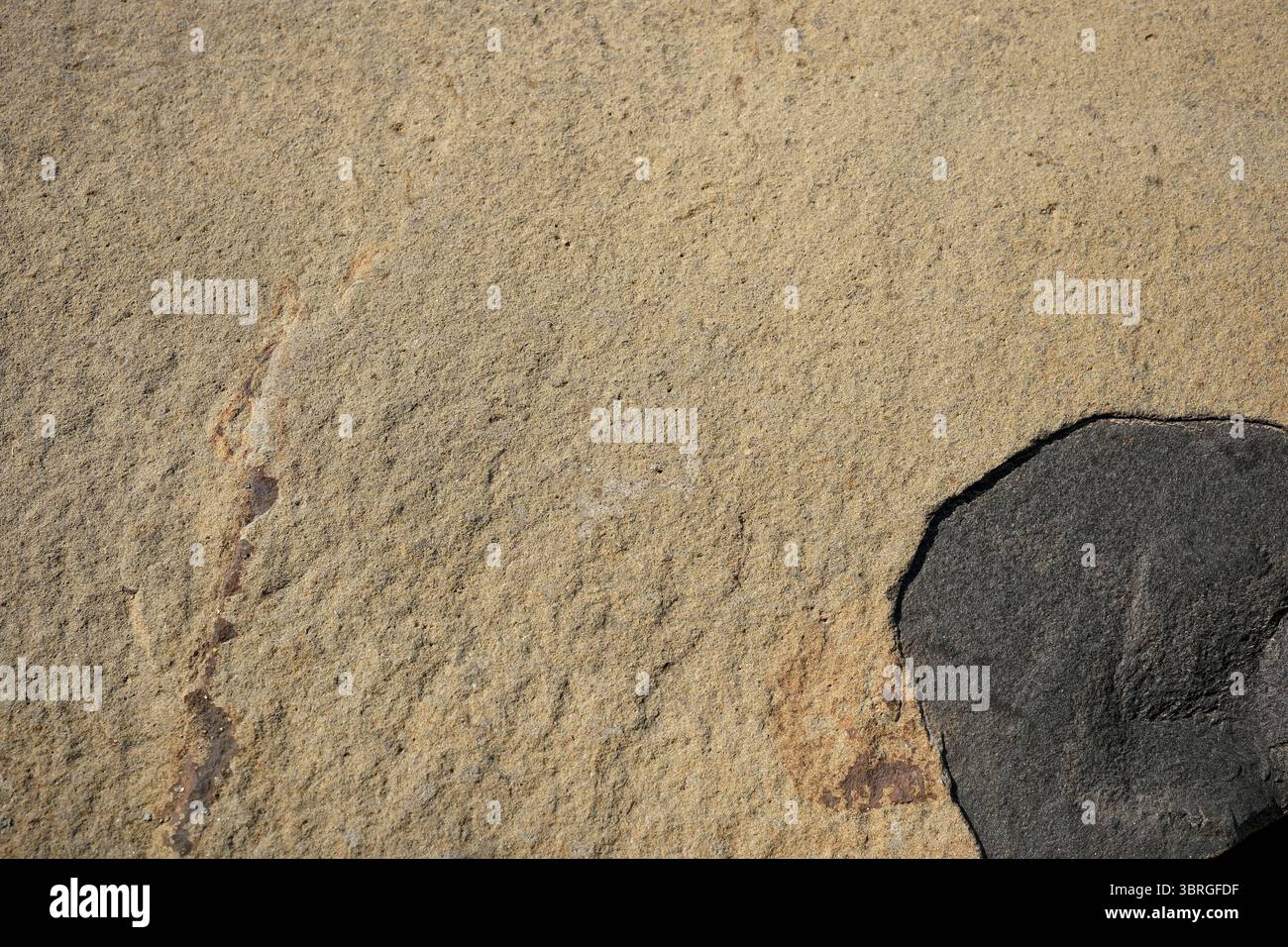 Die strukturierte Steinoberfläche zeigt wunderschöne Muster bei Sonnenlicht. Stockfoto