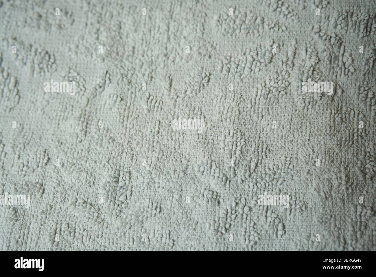Die zarte, strukturierte Oberfläche zeigt wunderschöne weiße Motive, die von der Natur inspiriert sind. Stockfoto