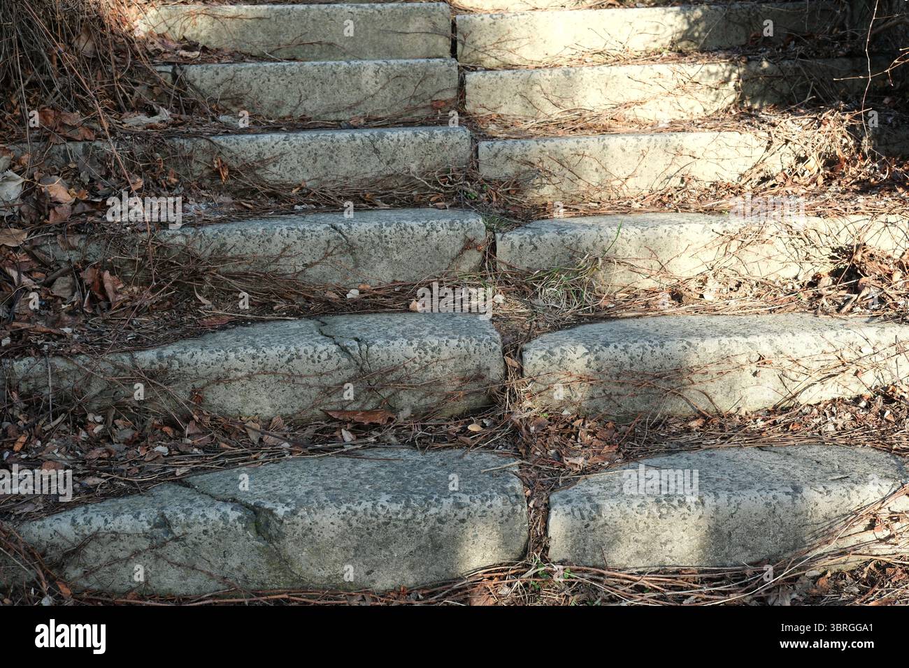 Sonnenlicht beleuchtet die rustikalen Steinstufen in der Umgebung der Natur. Stockfoto