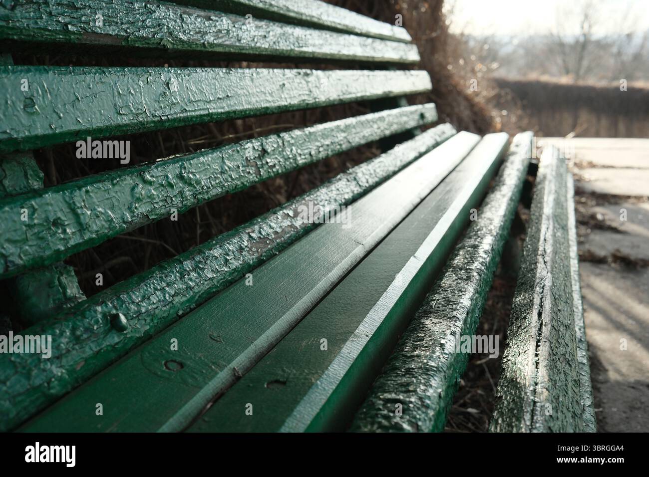 Eine grüne Holzbank sitzt ruhig am Fluss und lädt zum Ausruhen ein. Stockfoto