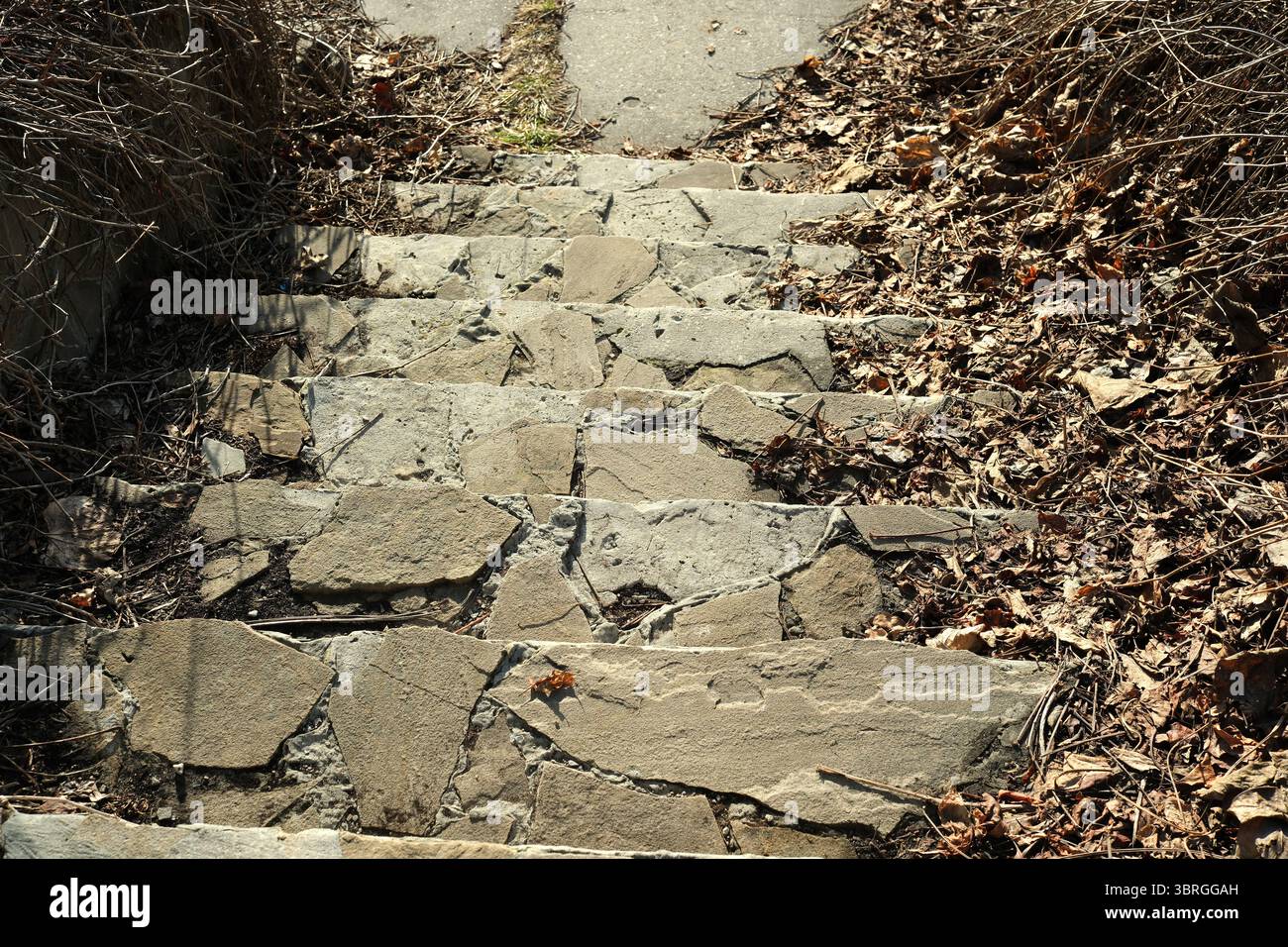 Verwitterte Steinstufen führen nach unten durch herabfallende Blätter und Ruhe. Stockfoto